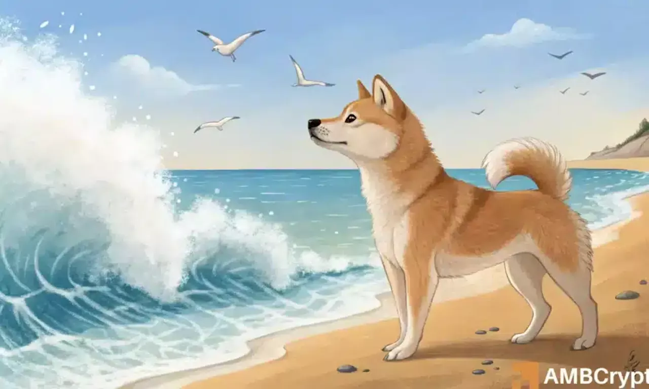 Shiba Inu sees a spike in whale activity: What it means for SHIB