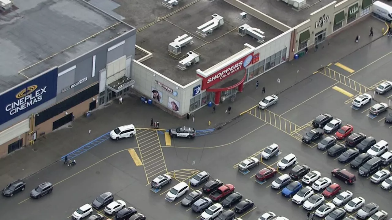 Suspects at-large following jewelry store robbery, related hit-and-run at Toronto’s Fairview Mall: police