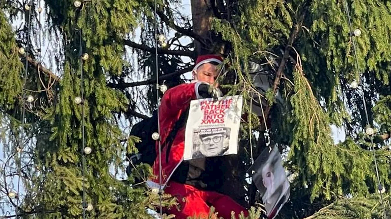 Fathers4Justice protester dressed as Santa Claus scales Trafalgar Square Christmas tree as he makes...