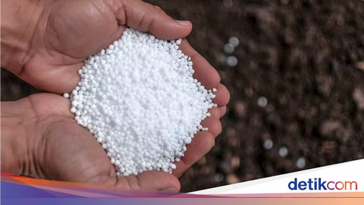 Dukung Cetak 3 Juta Ha Sawah, Pabrik Pupuk Rp 25 T Dibangun di Papua