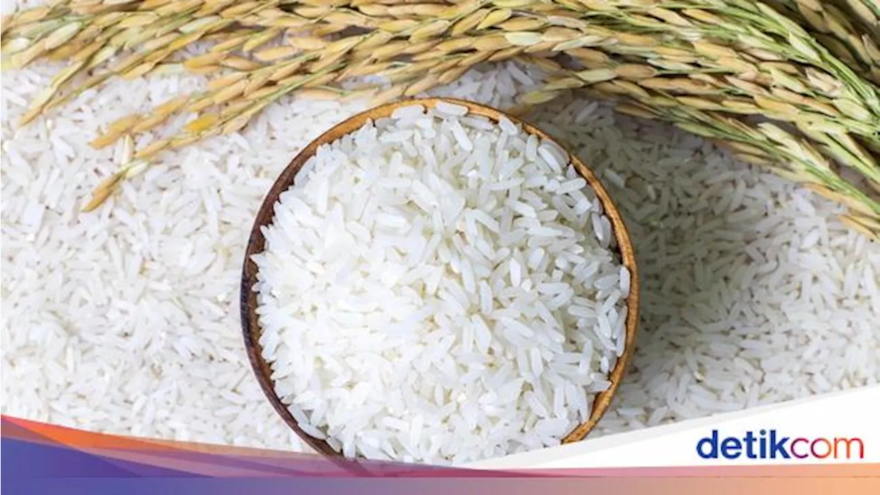 Pemerintah Tebar Beras 10 Kg buat 16 Juta Penerima Tahun Depan