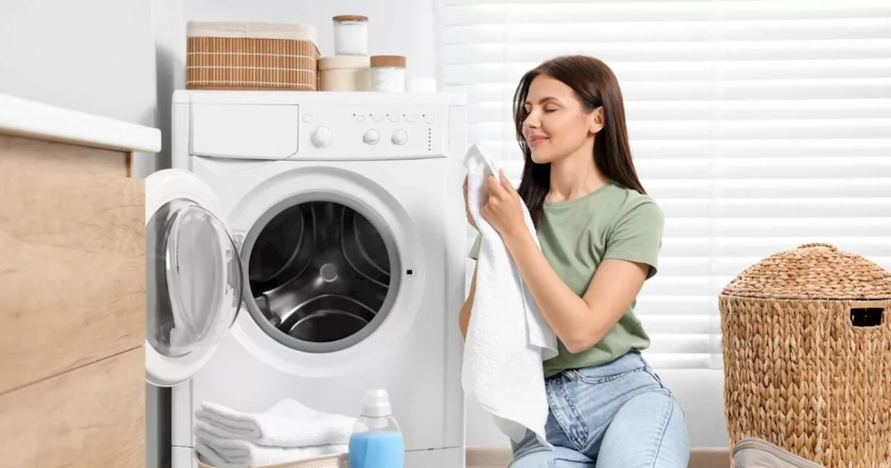 Come arredare il bagno di servizio