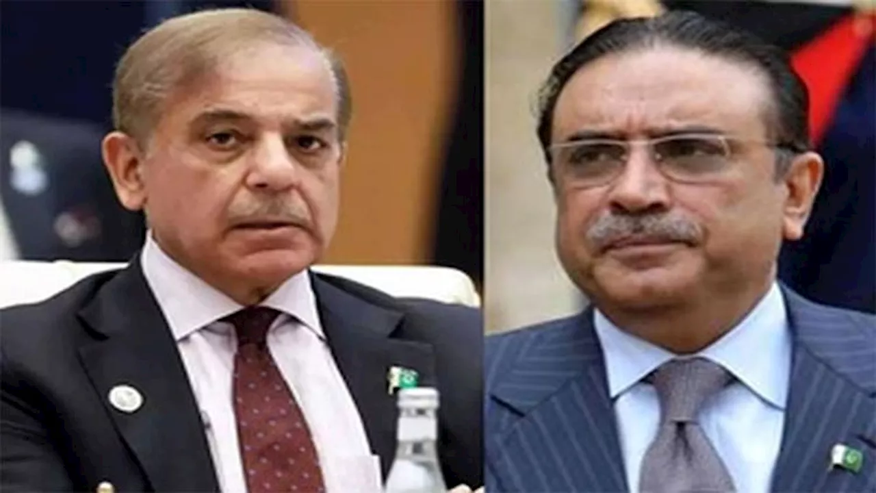 President Zardari, PM Shehbaz pay rich tribute to APS martyrs