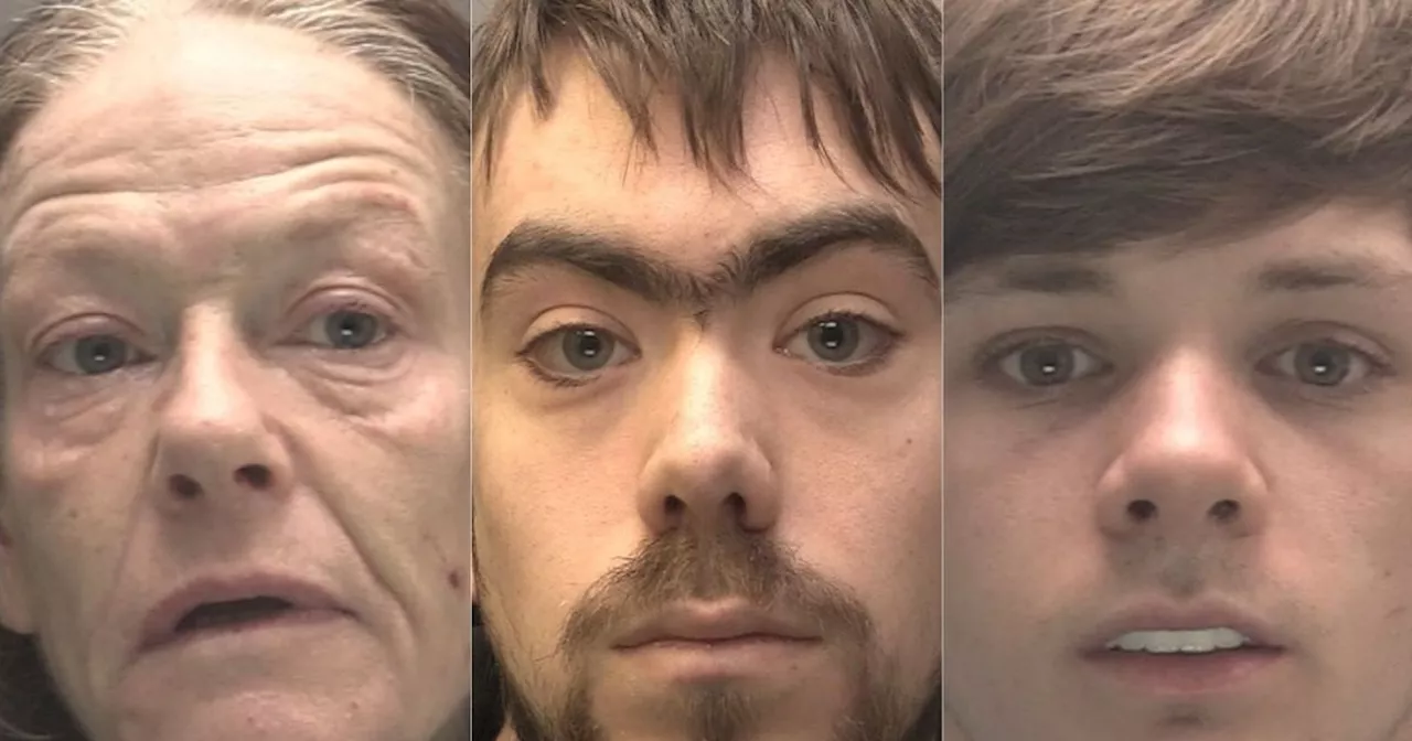 Drug dealing nan, PlayStation paedo and ex-Everton star among 14 jailed this week