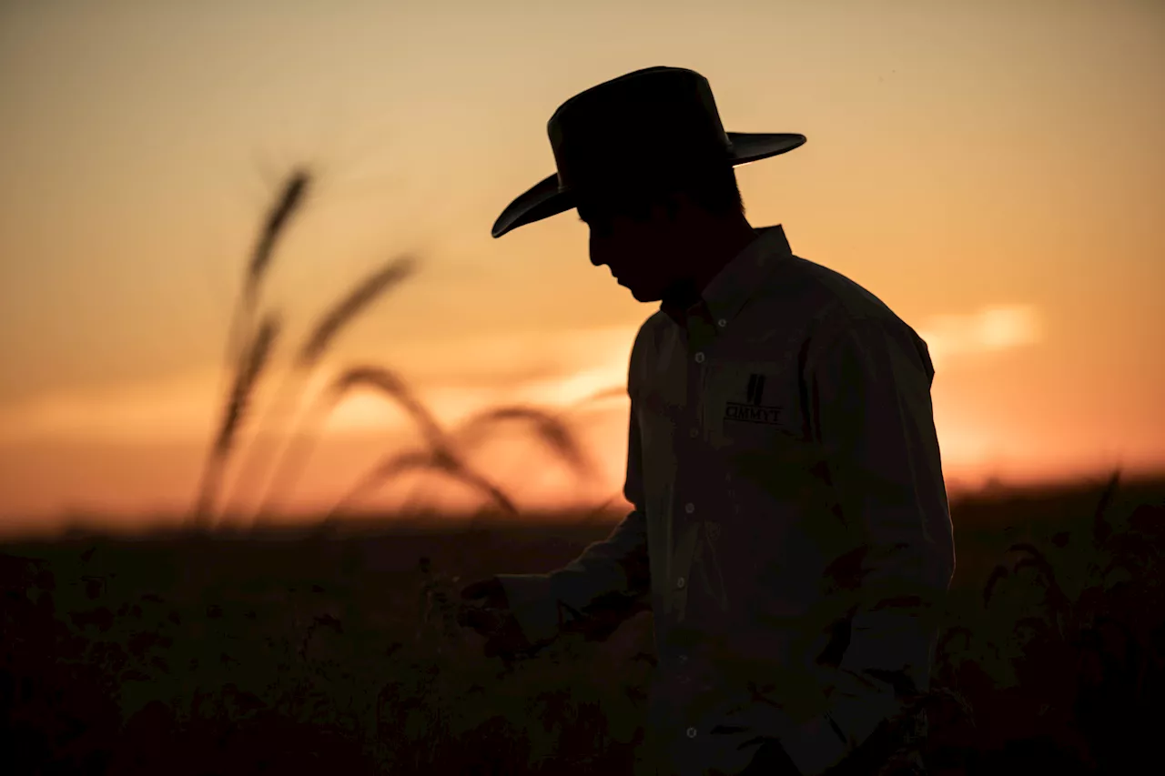 Grupo Bimbo supera su meta de Agricultura Regenerativa