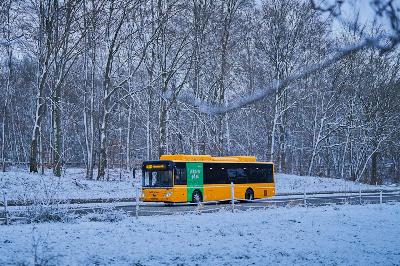 Dänemark: ÖPNV-Betreiber Movia erreicht E-Bus-Ziel sechs Jahre früher