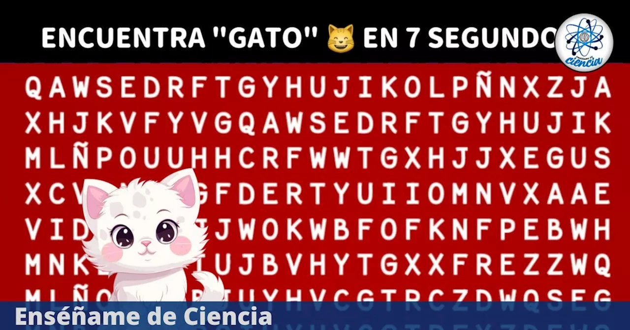 Acertijo VIRAL: Encuentra “GATO” en la sopa de letras en tendencia