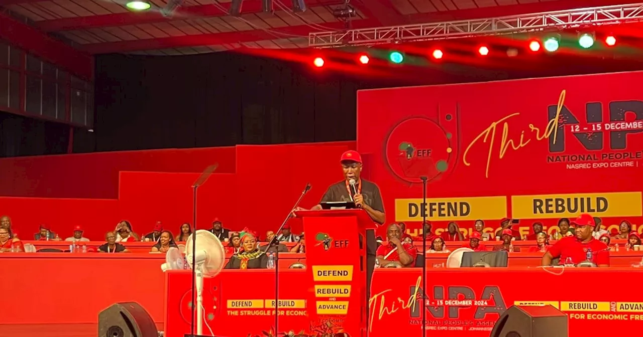 Malema: EFF waiting for DA's GNU exit to step into govt