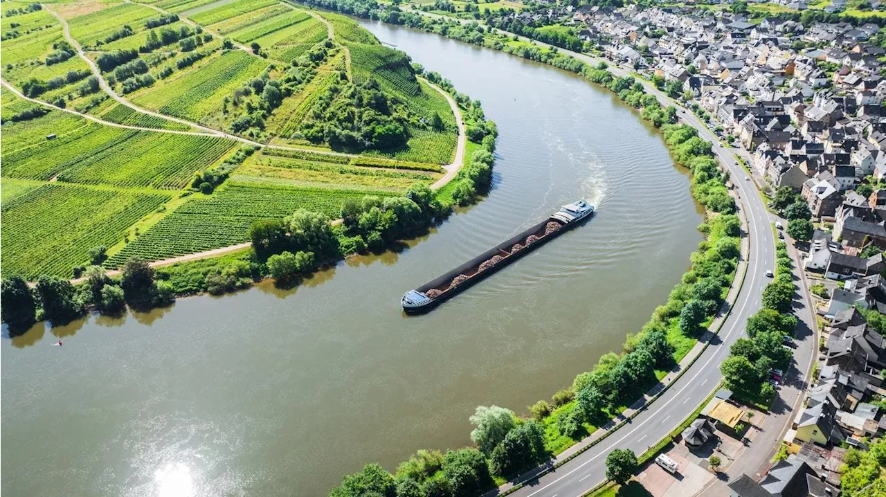 Moselle Lock Closure: How To Mitigate Supply Chain Disruption