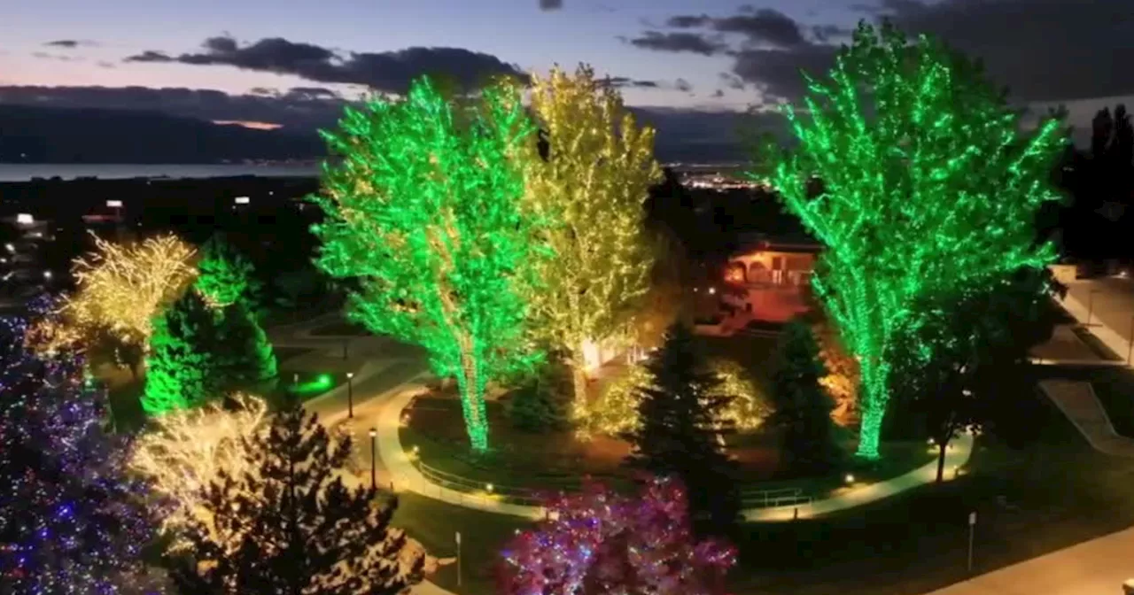 Lighting Utah one Christmas bulb at a time is a full-time job