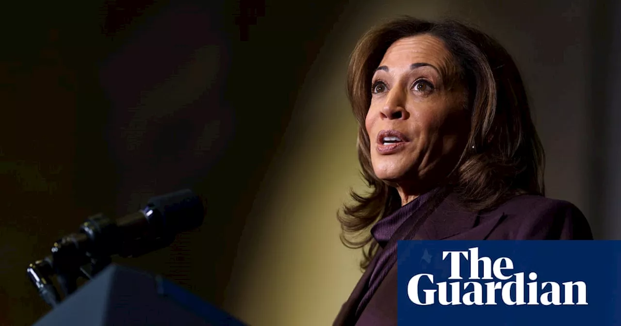 Democrats eye Harris 2028 presidential run as they devise political comeback