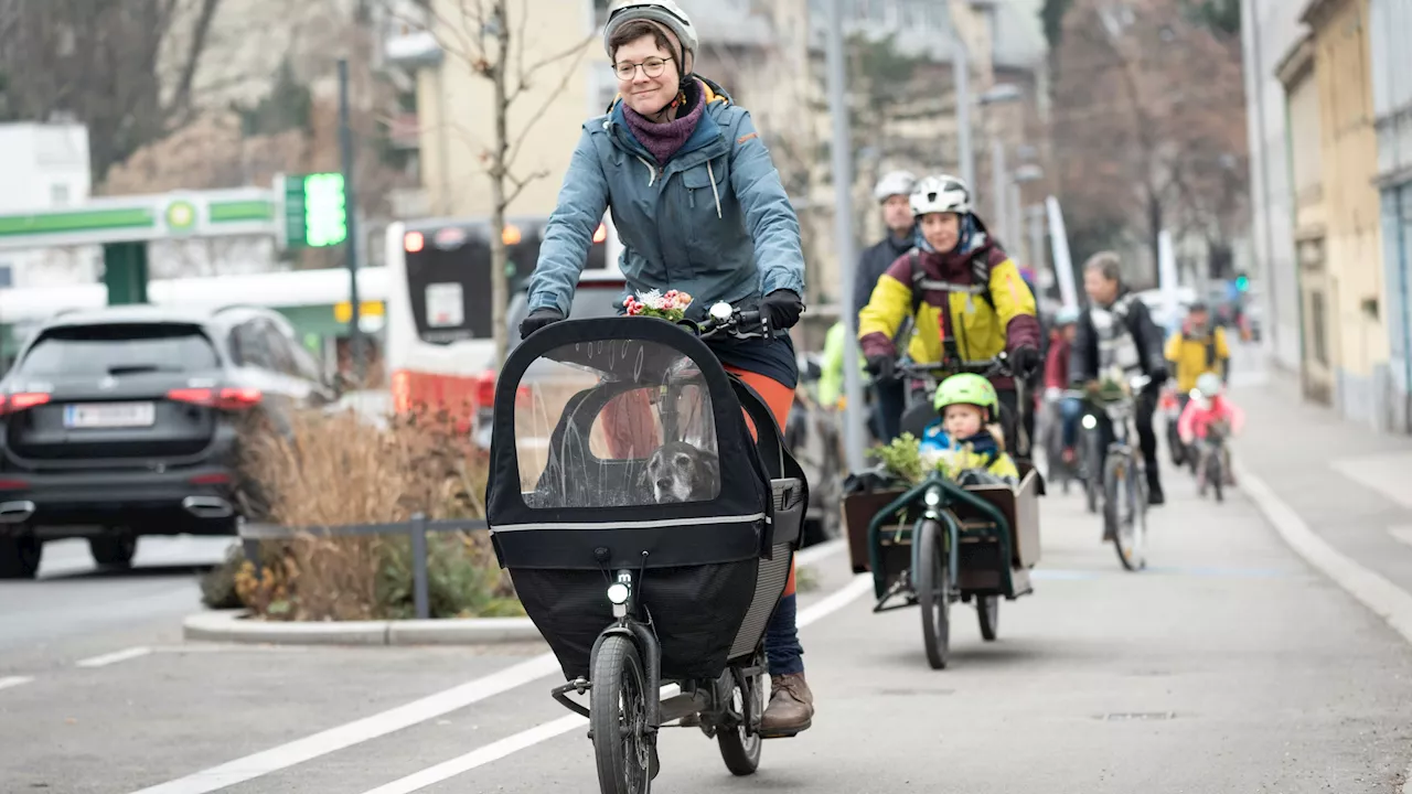 Streit um Radweg in Döbling - FPÖ fordert – Autos sollen auf Radweg parken dürfen