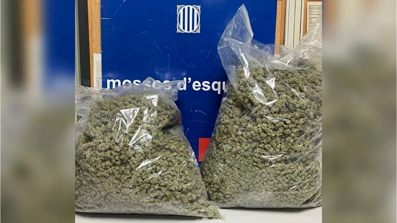 Pillados al sacar nueve kilos de marihuana de un taxi en Barcelona