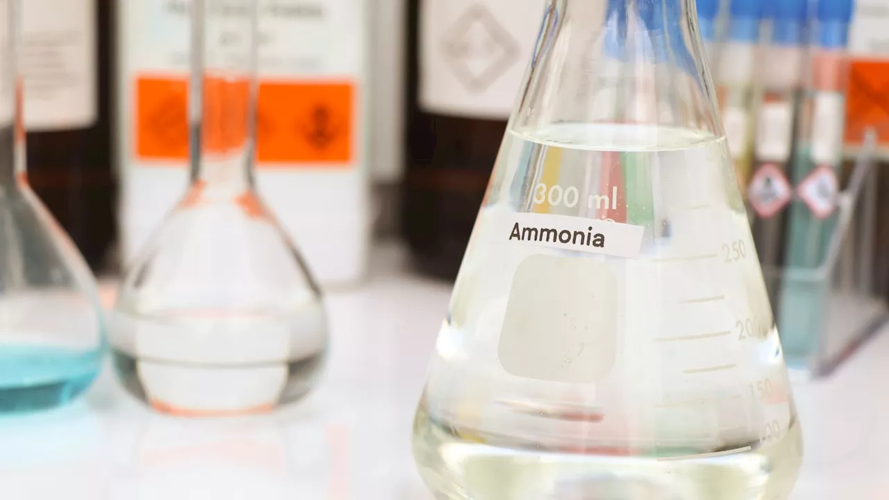 Sustainable solution: Ammonia produced with biomethane achieves net-zero emissions