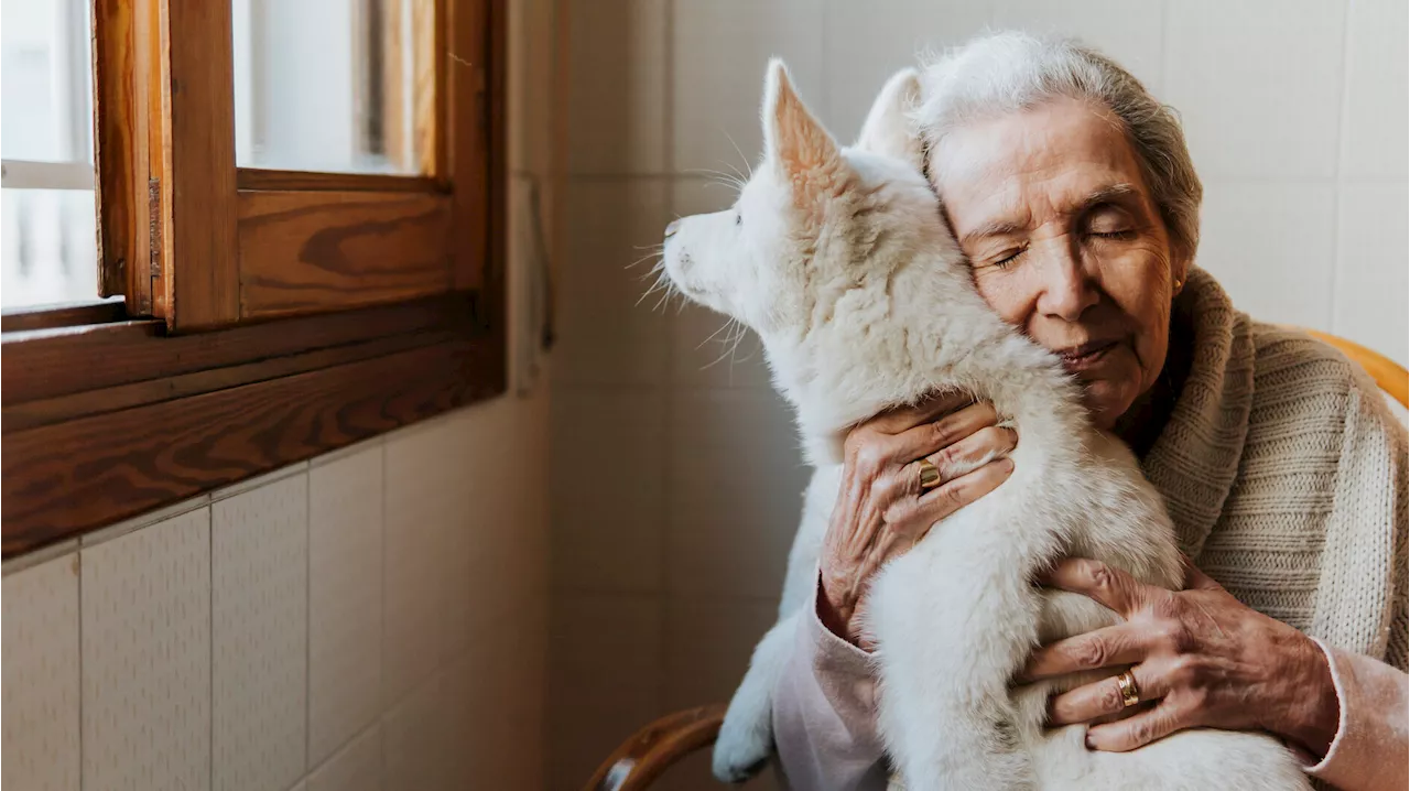 Per gli anziani gli animali domestici sono «come farmaci», soprattutto a Natale