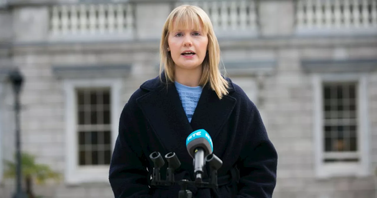 Fianna Fail’s refusal to include Sinn Fein in government talks is 'stupid'