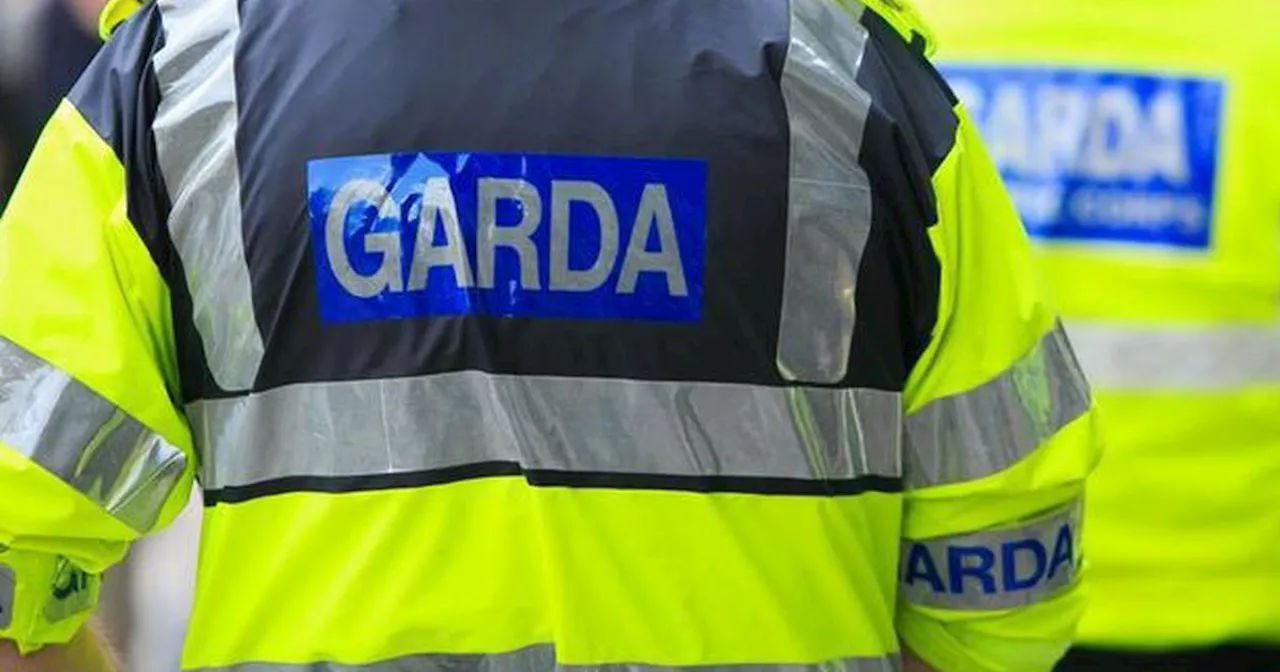 Gardaí appeal for witnesses after e-scooter driver injured in hit and run