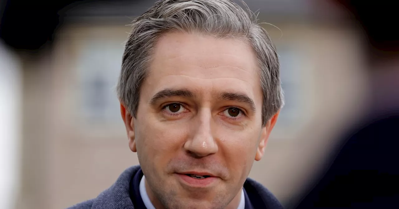 Israeli foreign minister calls Taoiseach Simon Harris ‘antisemitic’