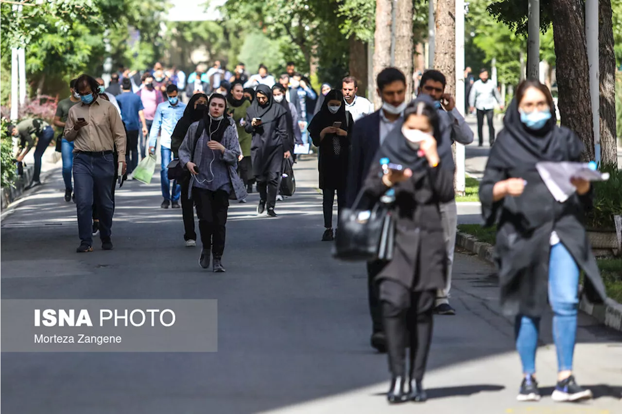 پذیرفته شدگان کنکور ۱۴۰۳ از ثبت نام در آزمون ۱۴۰۴ منع شدند