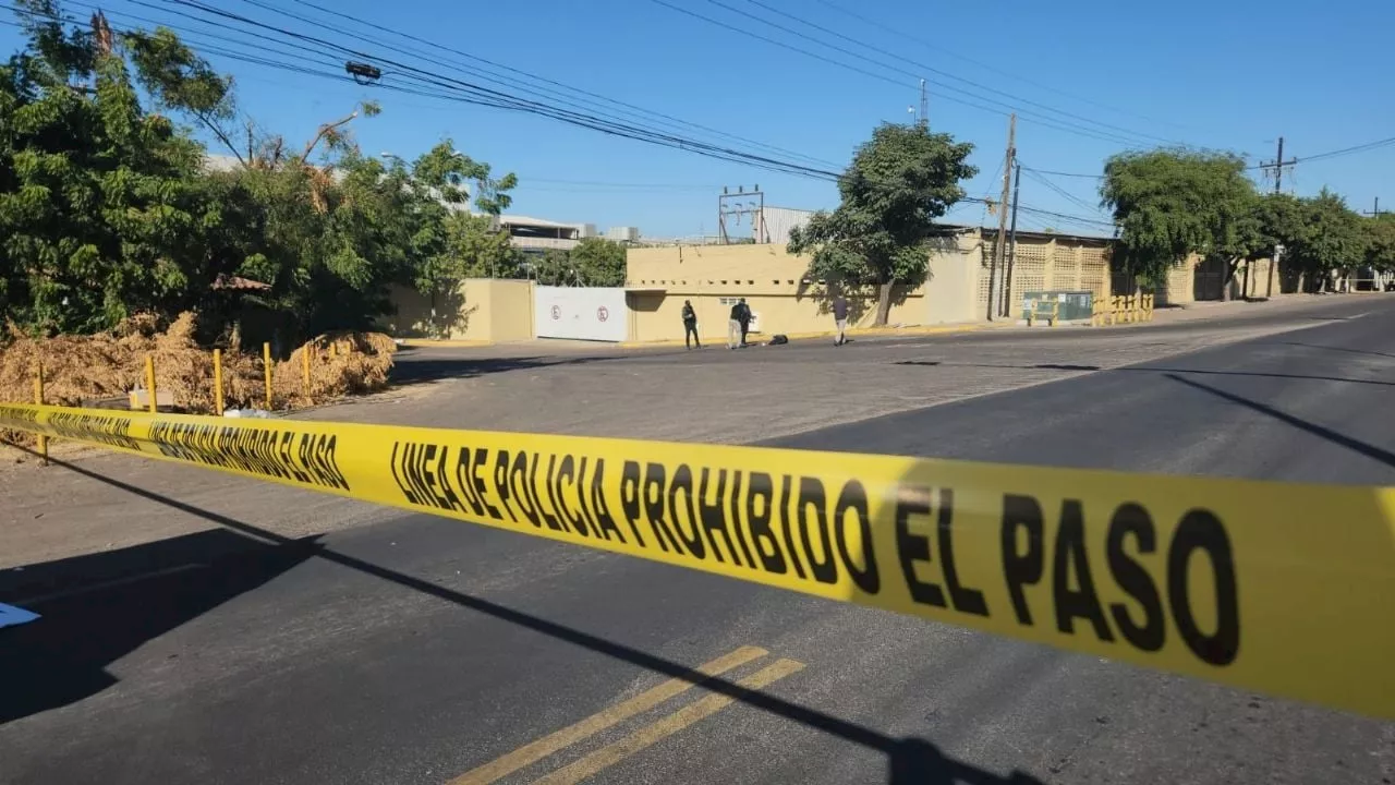 Violencia no da tregua a Sinaloa: 11 personas asesinadas el fin semana