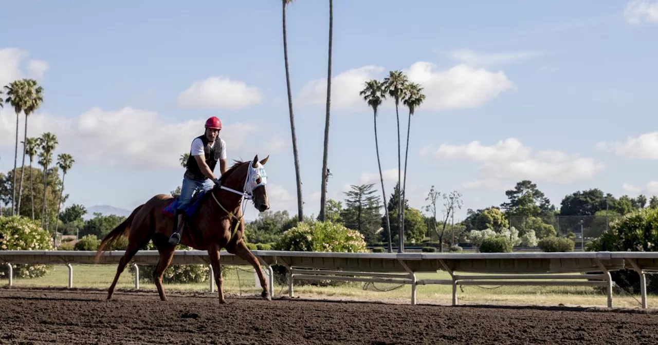 Attempt to revive horse racing in Northern California ends, impacting sport around state