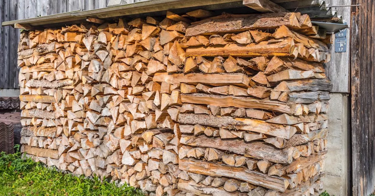 Près de Lyon, la polémique enfle autour d’un projet de chaufferie au bois de la métropole écologiste