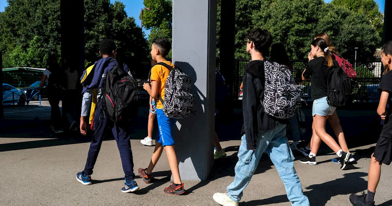 Stages de troisième : «Parfois, le stagiaire qui a l’air perdu ou insolent n’ose même pas demander où sont les toilettes»