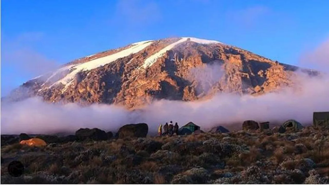 6 Fakta Menarik Gunung Kilimanjaro, Titik Tertinggi di Afrika dan Warisan Dunia UNESCO