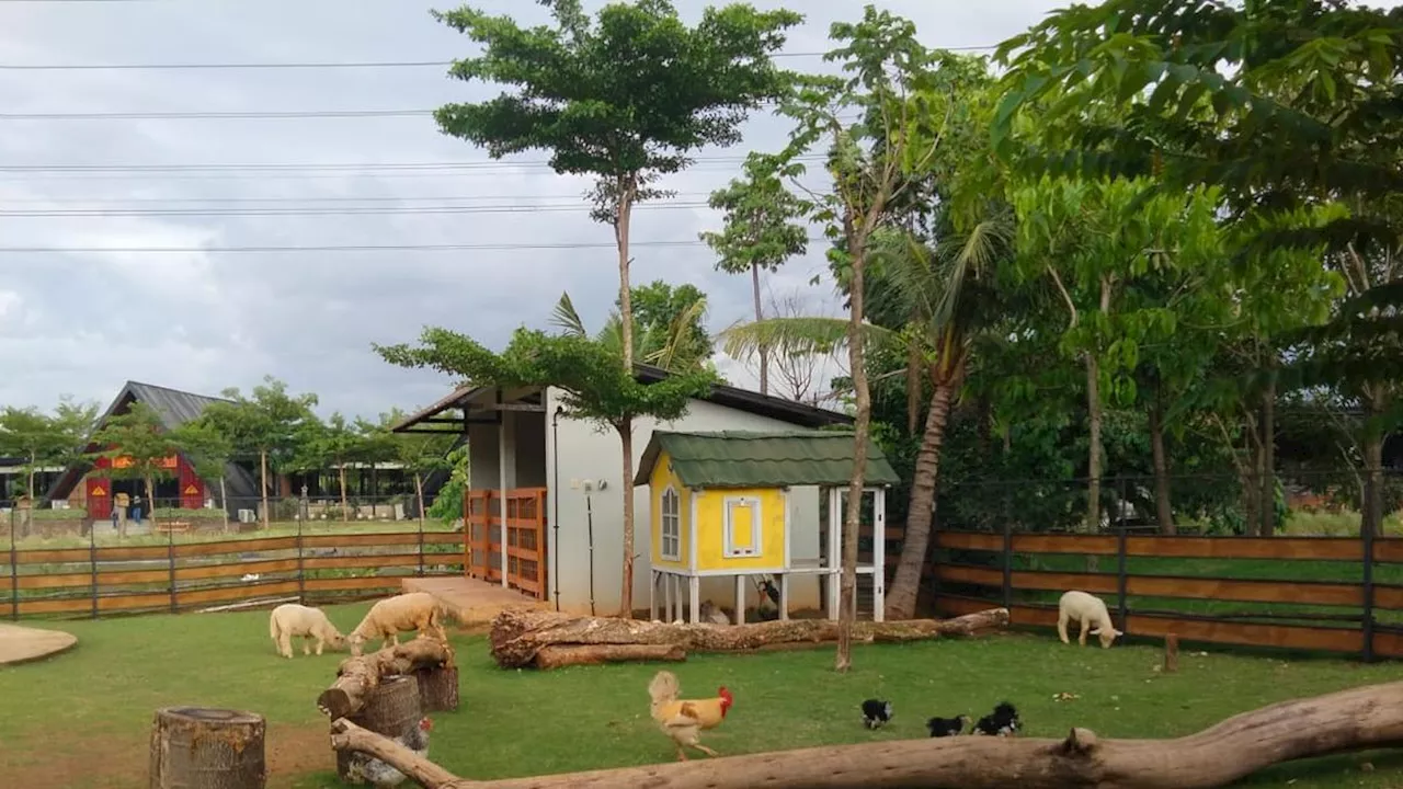 Taman Hijau Rumah Ratusan Satwa di Bintaro Hadirkan Harmoni Konservasi dan Edukasi