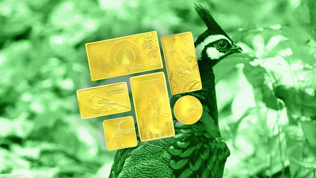 These gold bars spotlight Palawan’s endemic birds