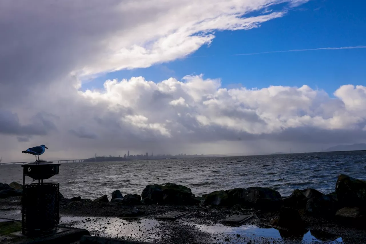 After more rain Monday, Bay Area expected to dry out until end of work week