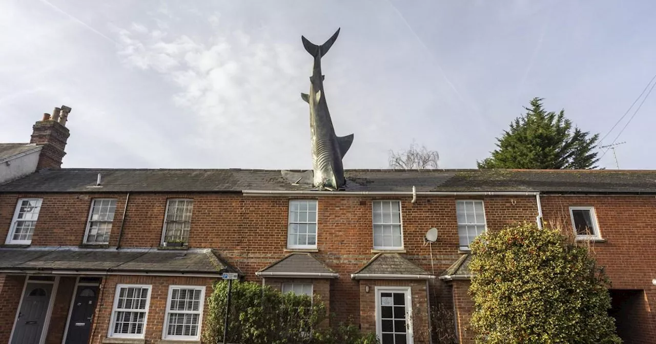 Controversial 'Shark House' faces latest snag after council bans it from Airbnb