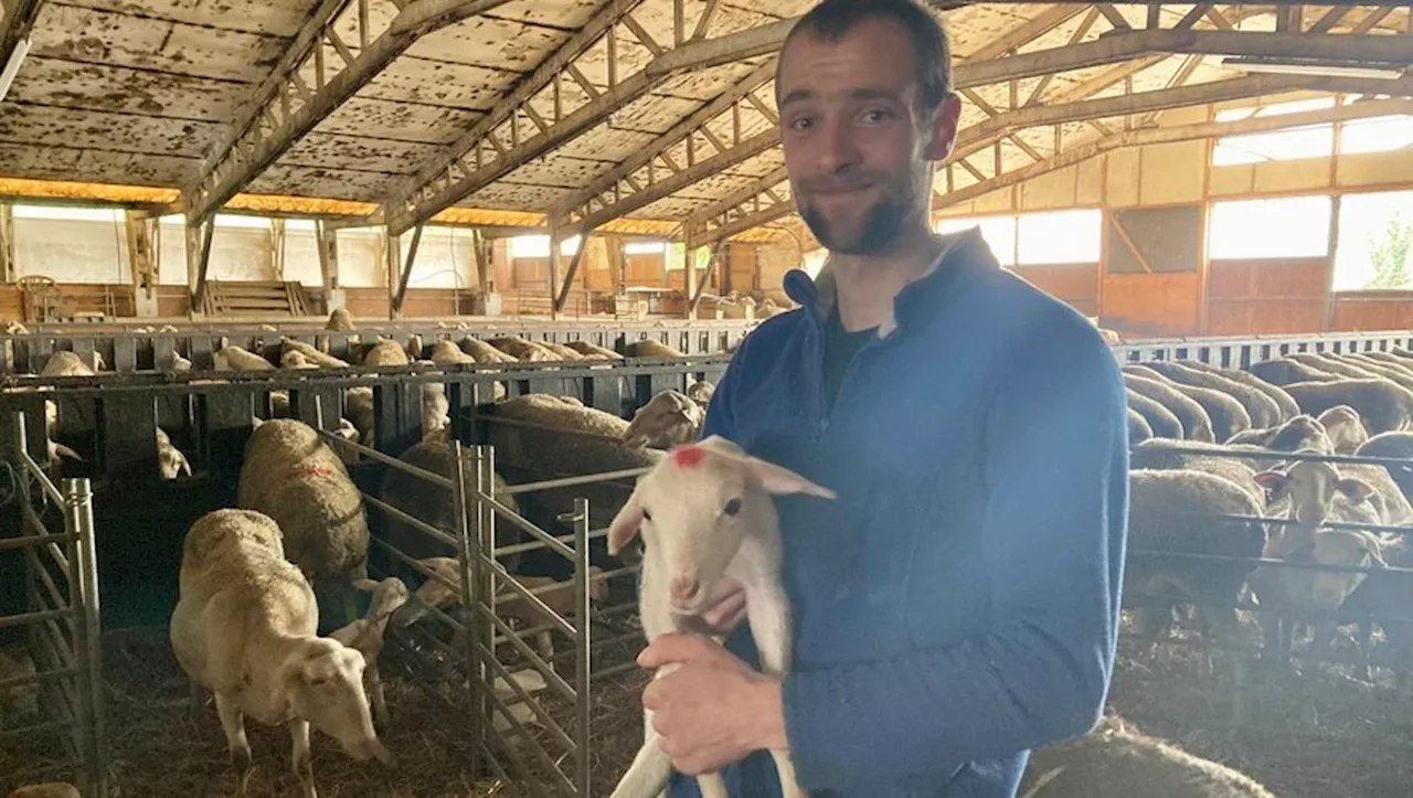 'J'ai envie de mettre la Lozère à l'honneur' : Matthieu Hamel élu Mister France agricole