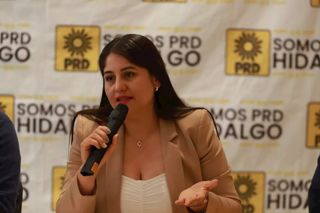 Margarita Ramos se convierte en la primera mujer presidenta del PRD en Hidalgo