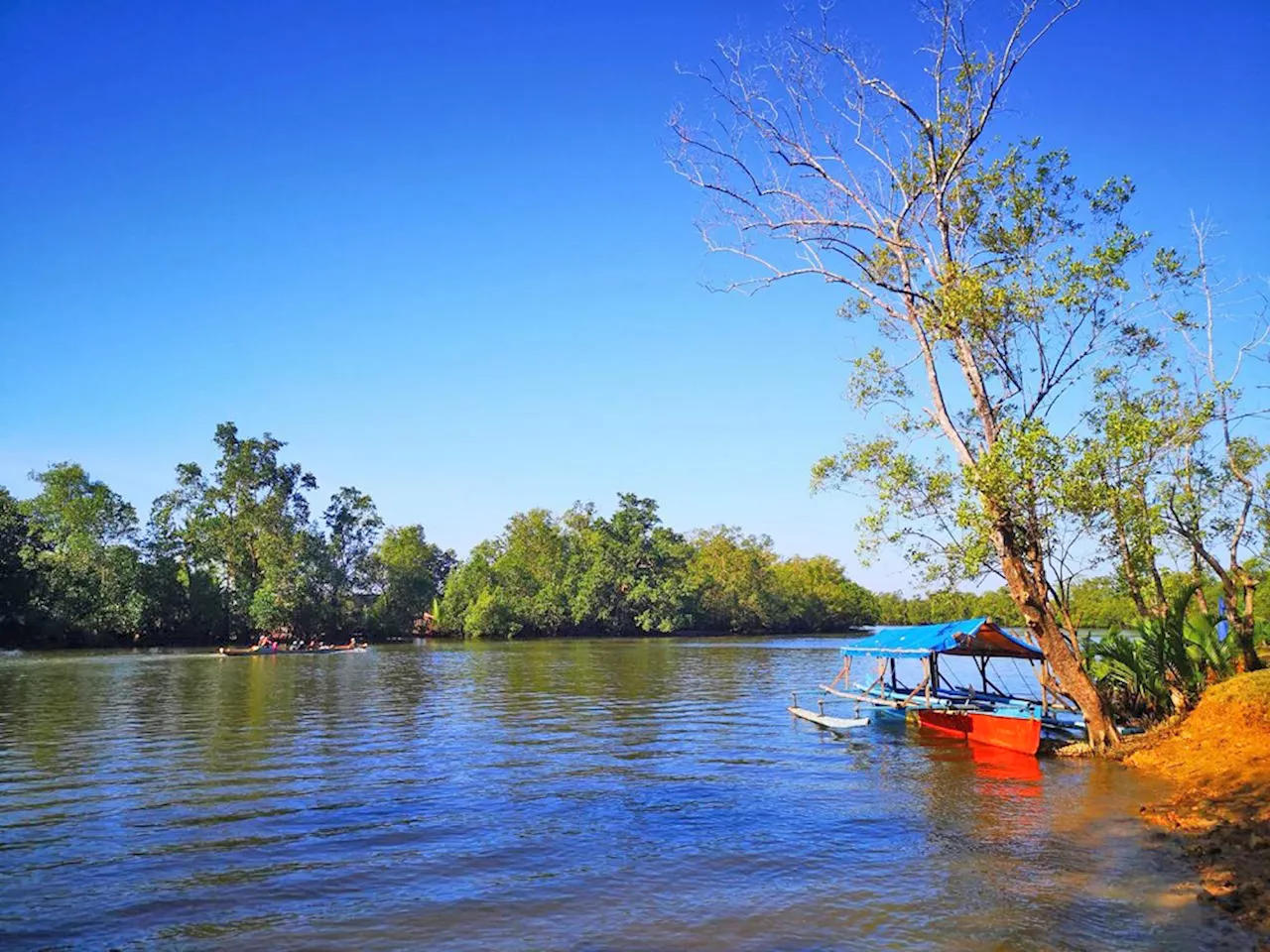 Gov’t bolsters bid to protect wetland areas