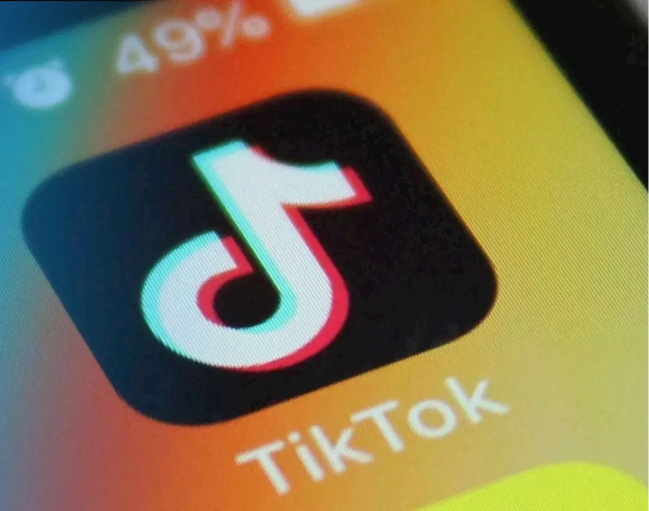 TikTok asks Supreme Court to temporarily block looming US ban