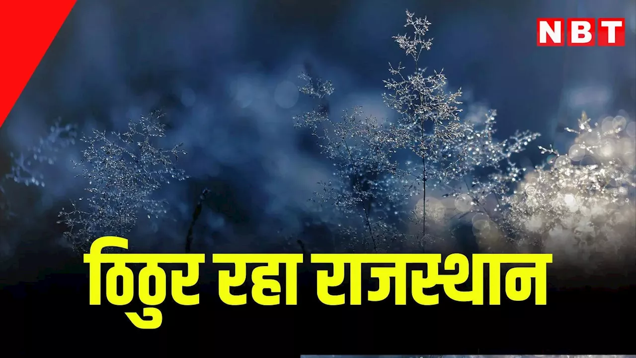 Rajasthan Weather Update: ठिठुर रहा राजस्थान, तापमान माइनस में बरकरार, आज 5 जिलों में शीतलहर का अलर्ट