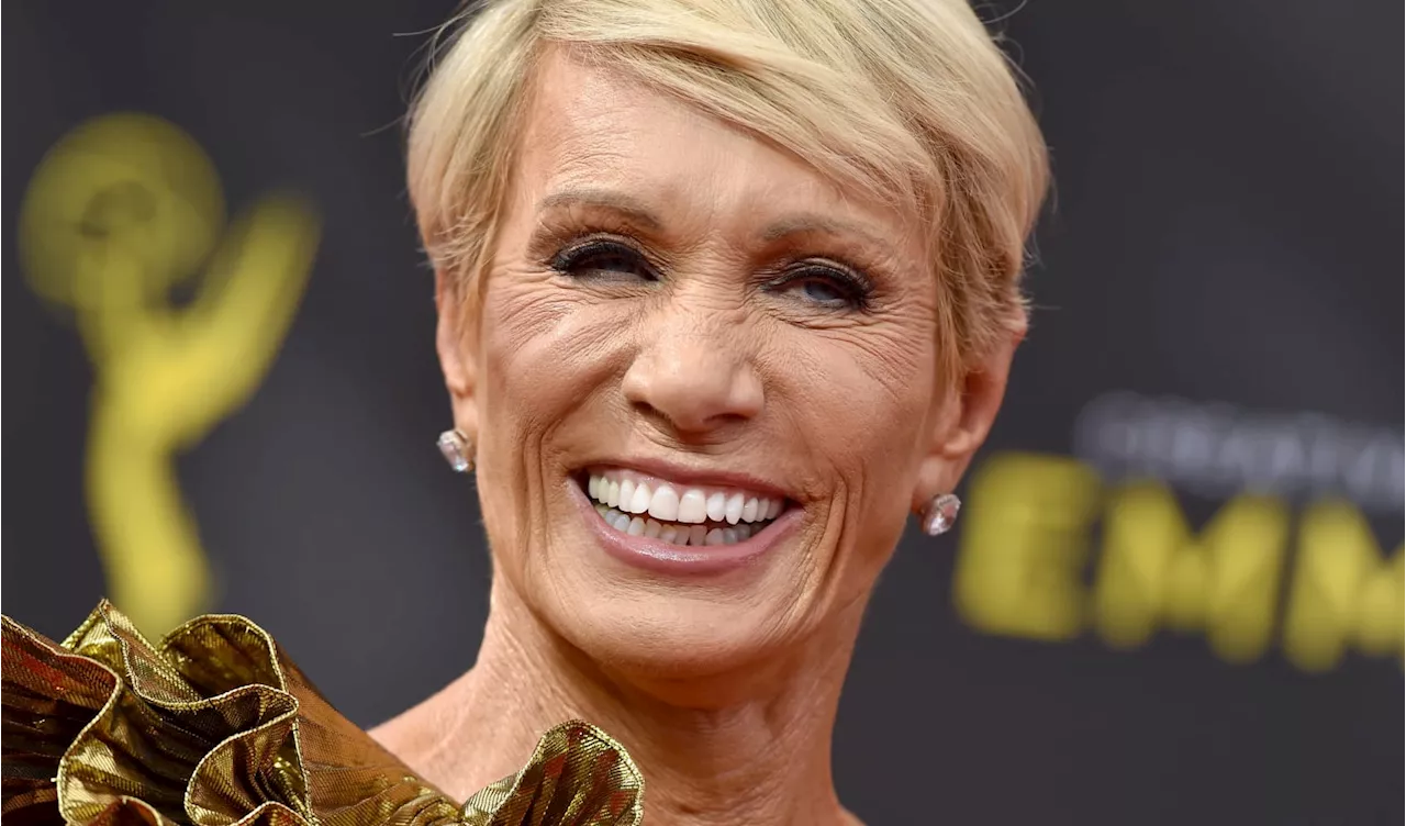 Barbara Corcoran is a self-made millionaire: Why she refuses to fly first class