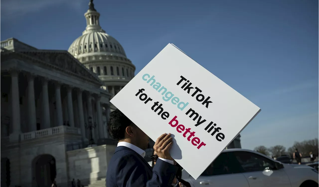 TikTok asks Supreme Court to block U.S. ban pending appeal