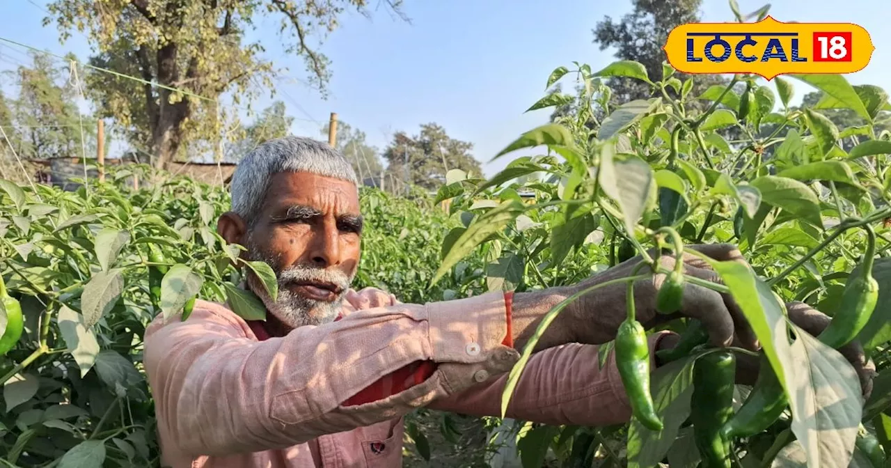 Agriculture News: पारंपरिक खेती छोड़ किसान ने शुरू की इस चीज की खेती, अब हर साल कमा रहे लाखों रुपए