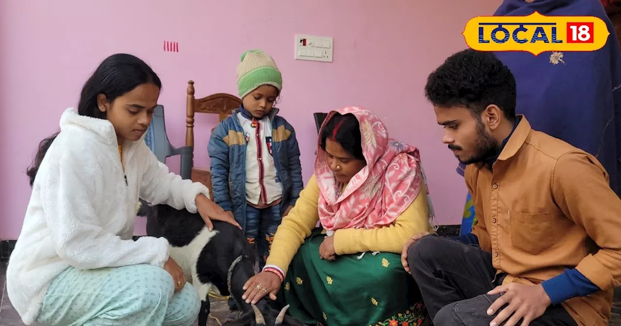 Ajab-Gajab: बकरी का जन्मदिन मनाता है यह परिवार, गिफ्ट में मिलती है ऐसी-ऐसी चीजें कि हो जाएंगे हैरान