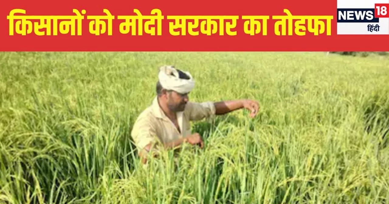 PM Kisan के बाद करोड़ों क‍िसानों के ल‍िए एक और बड़ी खबर, सरकार ने शुरू की ₹1,000 करोड़ की क्रेडिट गारंटी स्...