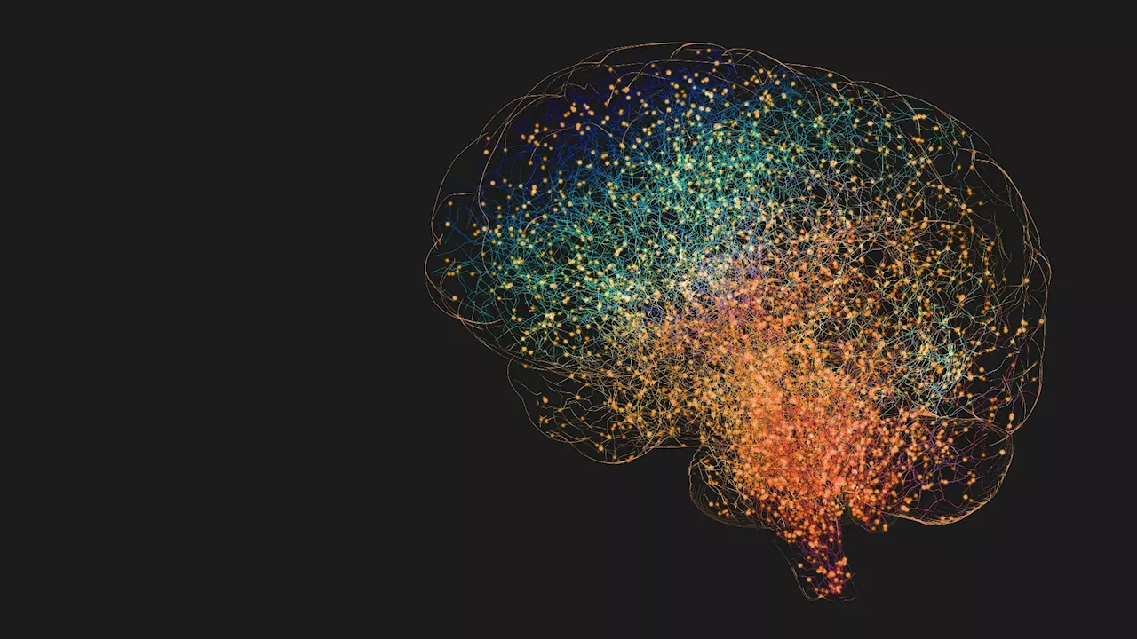 How brain connectivity and machine learning enhance understanding of human cognition