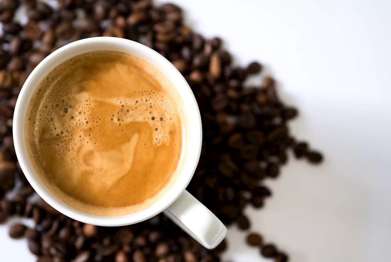 How moderate coffee consumption reduces cardiovascular disease risk