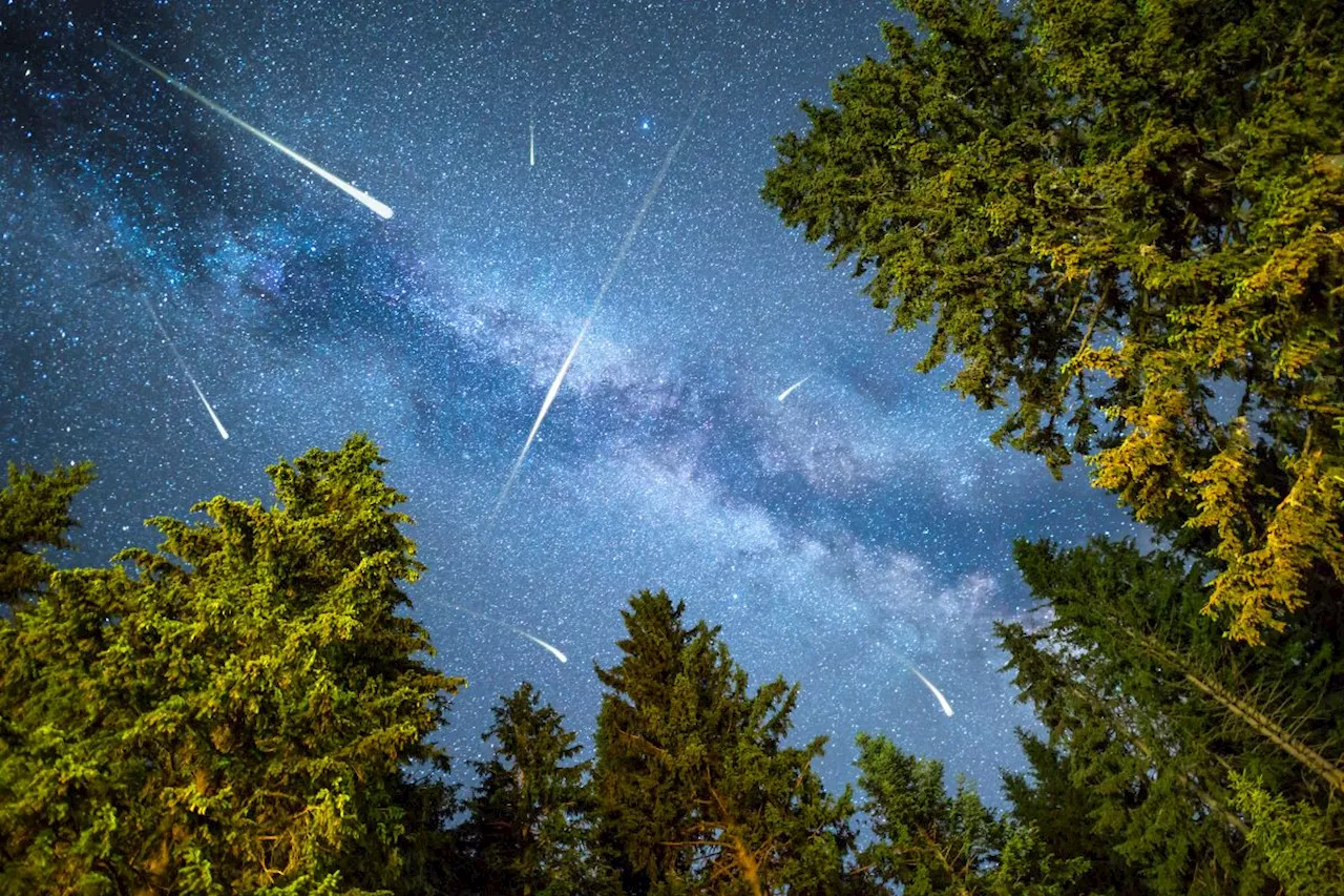 Ursid Meteor Shower Set to Light Up the Sky