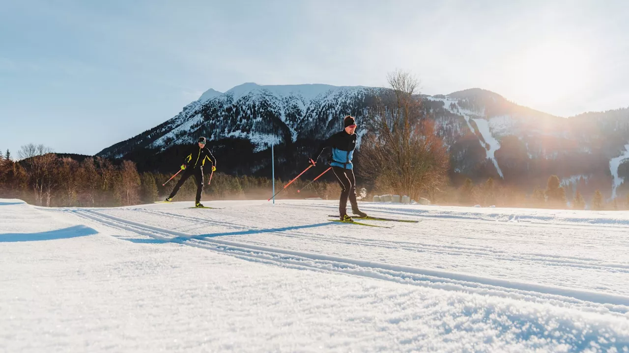 Langlaufen in NÖ: Vielerorts fehlt noch der Schnee