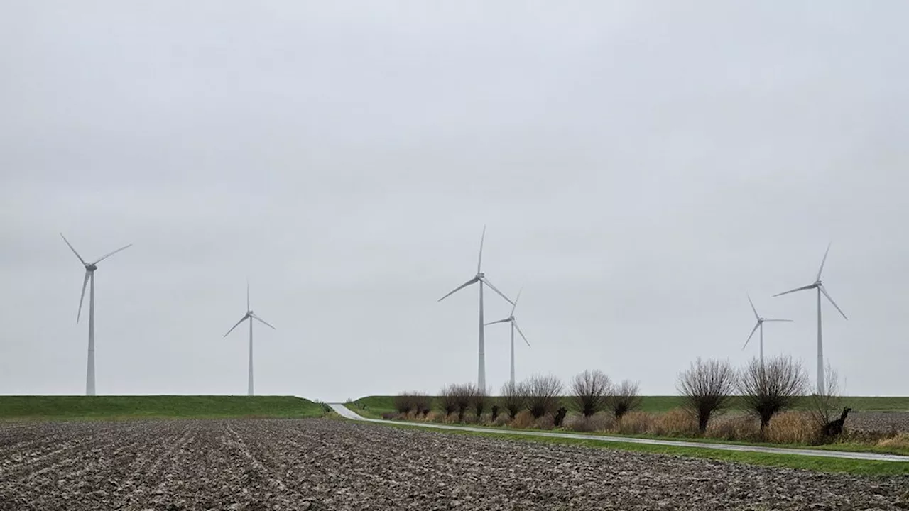 Al acht dagen geen zon te zien en daar komen nog wat dagen bij