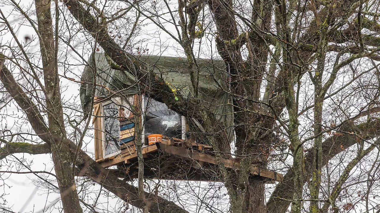 Baden-Württemberg: Ermittlungsverfahren nach Protest in Freiburger Wald