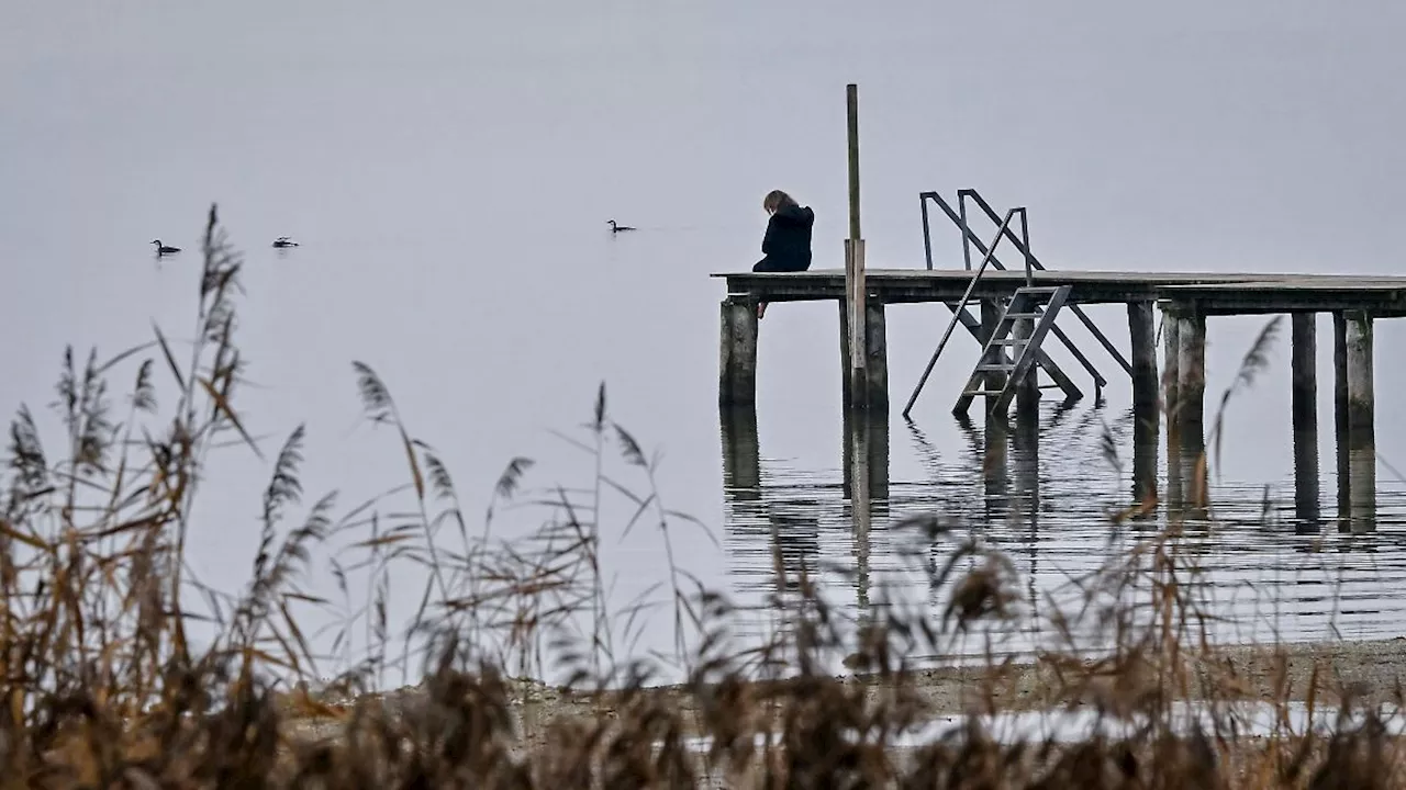 Bayern: Wochenbeginn bringt mildes Wetter nach Bayern