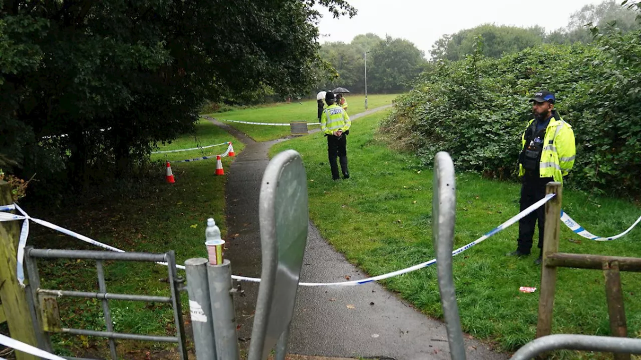 Gewalttat in englischem Park: Zwölfjährige muss sich wegen Totschlags vor Gericht verantworten